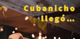 Musica cubana famosa, canzoni hits top 10 di agosto 2023 cubanicho llego