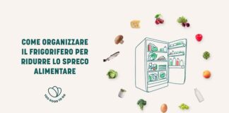Come conservare il cibo in frigorifero, consigli contro lo spreco domestico frigorifero ridurre spreco