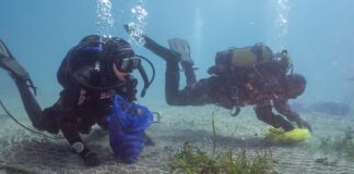 Riforestazione marina, L’impegno blu di Coopservice riforestazione marina