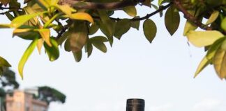 Zacapa Rum arriva a Portofino: i drink per l’estate 2023 ron zacapa