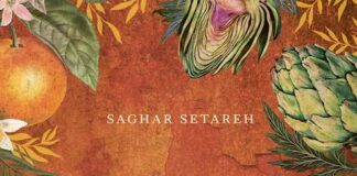 Melograni e Carciofi, la raccolta di ricette di Saghar Setareh melograni e carciofi libro
