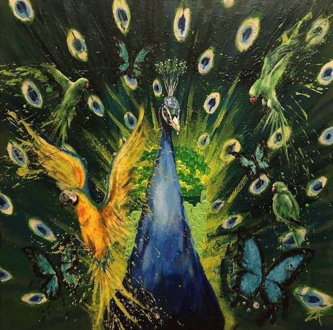 peacock paradise