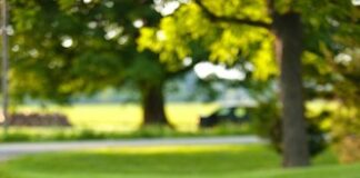 Zaino per la scuola, 10 consigli per prevenire il mal di schiena zaino scuola
