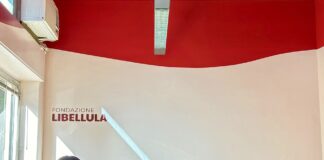 Vodafone e Libellula insieme per formare il personale socio-sanitario a riconoscere i segnali di violenza contro le donne