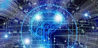 Focus sul mercato delle AI Platform: un approfondimento artificial intelligence