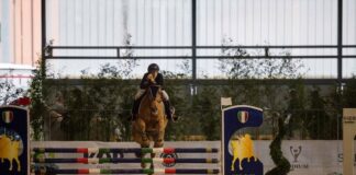 Fieracavalli, il programma degli eventi dell’11 e 12 novembre fieracavalli