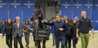 Varenne premiato alla giornata inaugurale della 125° Fieracavalli fieracavalli2023 varenne