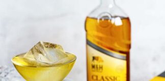 Cinque cocktail da gustare in casa: ricette e consigli mad in new york
