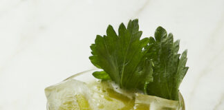 “Celerybration”, la ricetta del cocktail analcolico che omaggia il Natale celerybration