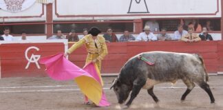 Città del Messico, la corrida è di nuovo legale corrida