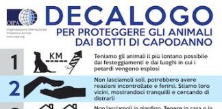 Botti di Capodanno, dieci consigli per proteggere gli animali decalogo locandina botti
