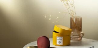 Car Diffuser Rosso da Acqua di Parma: le caratteristiche car diffuser rosso