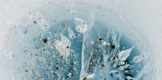 “Snow From Yesterday”, il nuovo album di Manu Delago: tracklist snow from yesterday