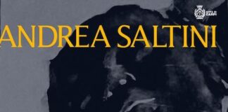 “Gratia Plena”, mostra personale di Andrea Saltini a Carpi gratia plena mostra