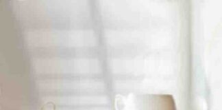 “Intrecci”, annunciato il nuovo biscotto del Mulino Bianco intrecci mulino bianco