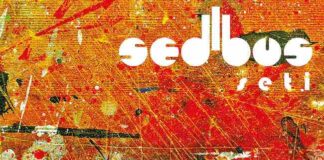 “SETI”, il nuovo album dei Sedibus (Paterson e Falconer) sedibus seti album