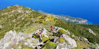 XIV° Elba Trail: percorso, come partecipare alla gara elba trail