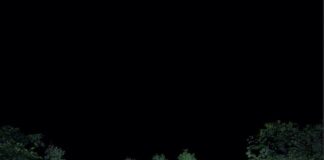 Oscar, miglior film internazionale e sonoro per La Zona d’interesse la zona d'interesse