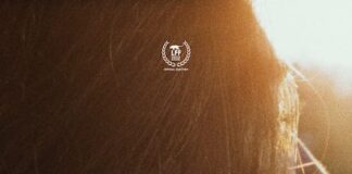 “L’Incidente”, il film di Giuseppe Garau al cinema: presentazione a Bologna l'incidente film