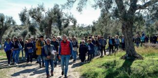 Svolta nel turismo dell’olio, arrivano rapporto annuale e sito ufficiale con oltre 300 experience