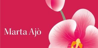 “Di cibo e di amore”, il romanzo di Marta Ajò di cibo e di amore libro