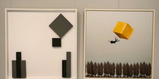 Rigore e Psiche, la tendenza dell’individuo contemporaneo a ricercare uno sfuggente perfetto equilibrio secondo il punto di vista di Piero Campanini e Stefano Paulon senza titolo 5