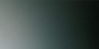 Sethu, il nuovo Ep “In fiore” esce venerdì 21 novembre