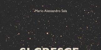“Si cresce solo per entusiasmo” di Mario Alessandro Sala: i consigli per un’impresa di successo cover si cresce solo per entusiasmo