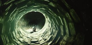 Film al cinema: le nuove uscite nel mese di agosto 2024 The well