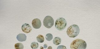 “Sample The Earth”, il nuovo album di Laura Misch: la tracklist sample the earth