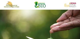 A Roma un convegno per trovare soluzioni e azioni concrete di contrasto alla siccità e ai cambiamenti climatici