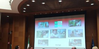 Premi Moige, Milano (Rai Kids): “Come servizio pubblico il nostro scopo è di divertire ed educare”