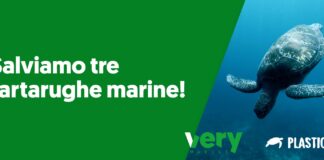 Very scende in campo per il salvataggio delle tartarughe marine