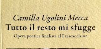 “Tutto il resto mi sfugge” di Camilla Ugolini Mecca: la struggente bellezza della vita tutto il resto mi sfugge libro