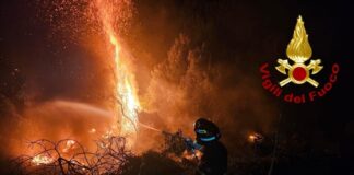 Incendi: bruciano di nuovo i boschi della Gallura