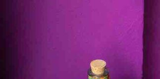 World Elephant Day, le ricette di quattro nuovi cocktail vincitore