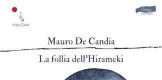 “La follia dell’Hirameki”, il libro di Mauro De Candia la follia dell'hirameki