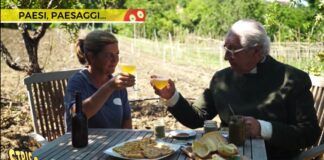 A “Paesi, paesaggi…” si parla del sedano nero di Torricella Peligna