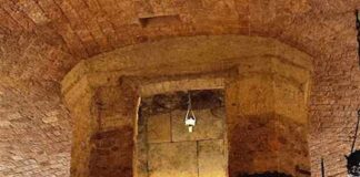 IV° poesia 800 anni dalla composizione Cantico delle Creature basilica san francesco assisi