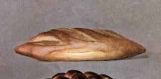 Cinque libri dedicati all’impatto del cibo sulla nostra società storia commestibile dell'umanita