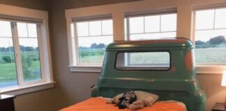 Riciclo dei veicoli a fine vita: un approfondimento pickup versione letto