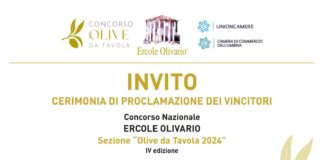 Concorso “Olive da Tavola” 2024, martedì 17 dicembre a Perugia la proclamazione dei vincitori