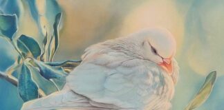 Il Realismo evanescente e delicato di Arianna Squicquaro, quando la poesia si mescola con la magia dei colori e della luce l'essenziale