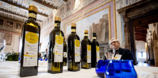 Anteprima Olio e.v.o. Dop Umbria, il 20 e 21 gennaio la presentazione della nuova annata olearia e le proposte di “Evo&Art Experience”