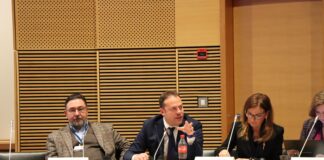 Esteri, Zoffili al bureau Osce di Helsinki: “Pace e sicurezza anche attraverso la lotta alla criminalità organizzata”