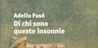 “Di chi sono queste insonnie”, il romanzo di Adelio Fusé di chi sono queste insonnie