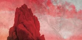 “Trovarsi” di Martina Marinelli: il coraggio di rialzarsi trovarsi libro marinelli