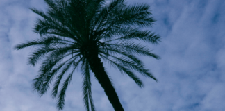 Giorgio Poi annuncia il suo ritorno dal vivo: le date