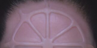 “Rosa dei venti”, il nuovo album di Gaia