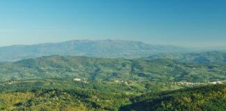 Sarà il Consorzio Valdarno di Sopra Doc a chiudere la settimana delle anteprime del vino toscano